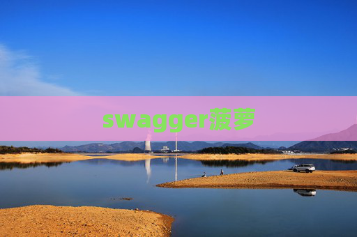 swagger菠萝